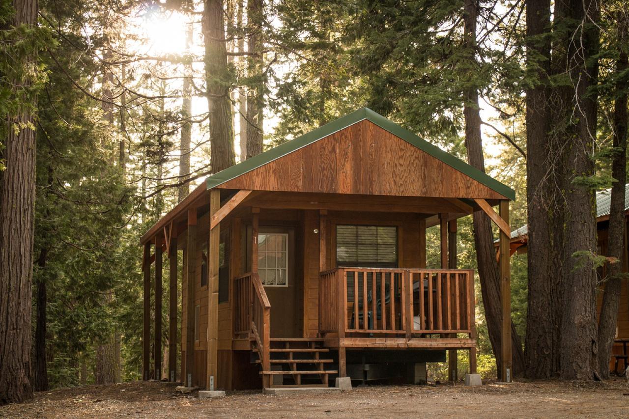 Snowflower Camping Resort Cabin 3 Emigrant Gap Kültér fotó